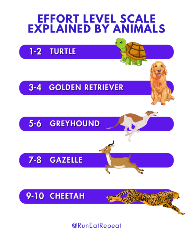 RPE Effort Level Chart for Runners easy new runner guide