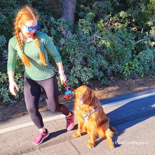 Running Blog Golden Retriever update