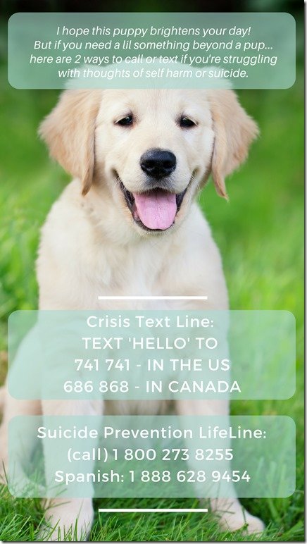 crisis text line insta story